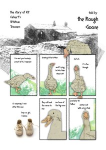 goose_001